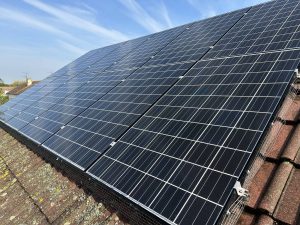 a solar panel cleaned and all pigeon droppings removed
