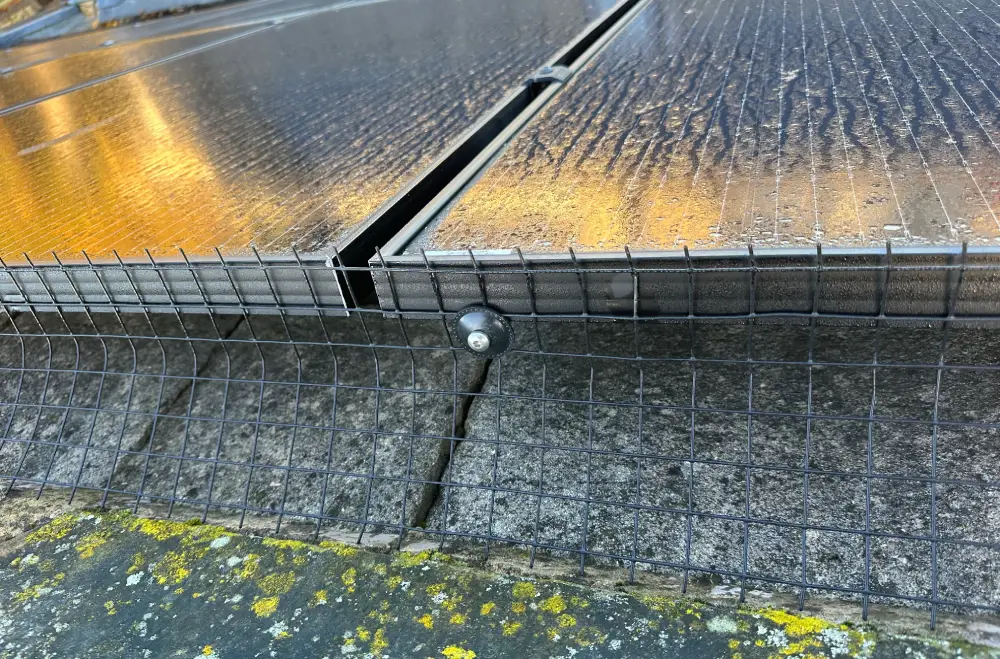 All About Solar Pigeon Proofing Clean Solar Panels