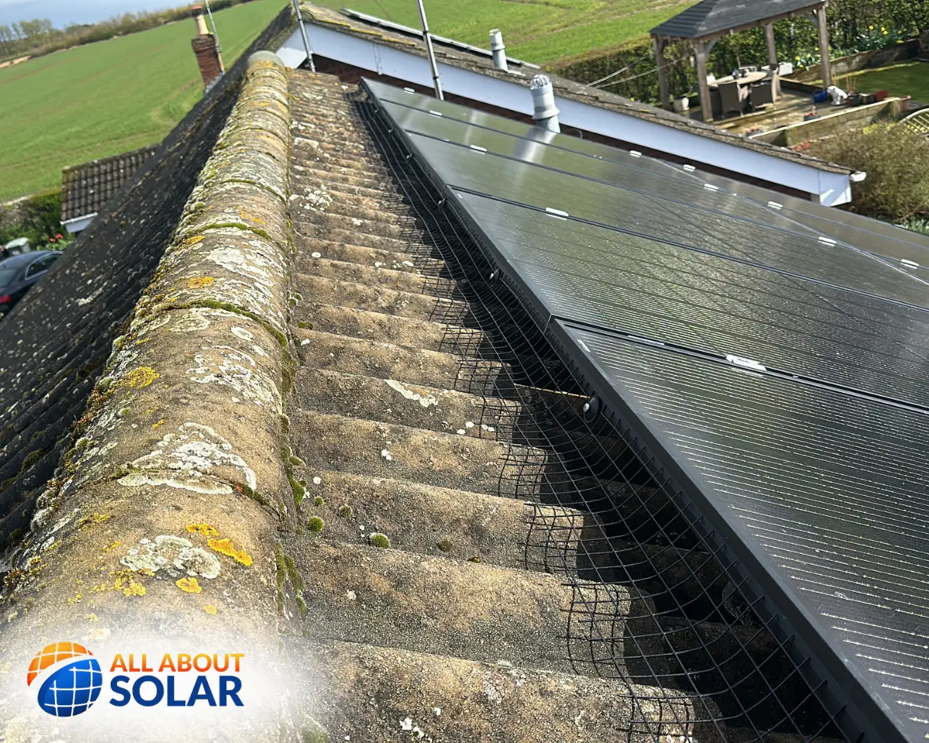 All About Solar Pigeon Proofing Wellingborough 2