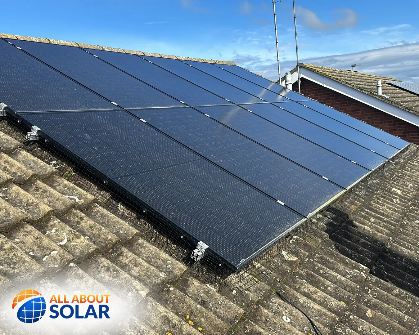 All About Solar Pigeon Proofing Wellingborough 3