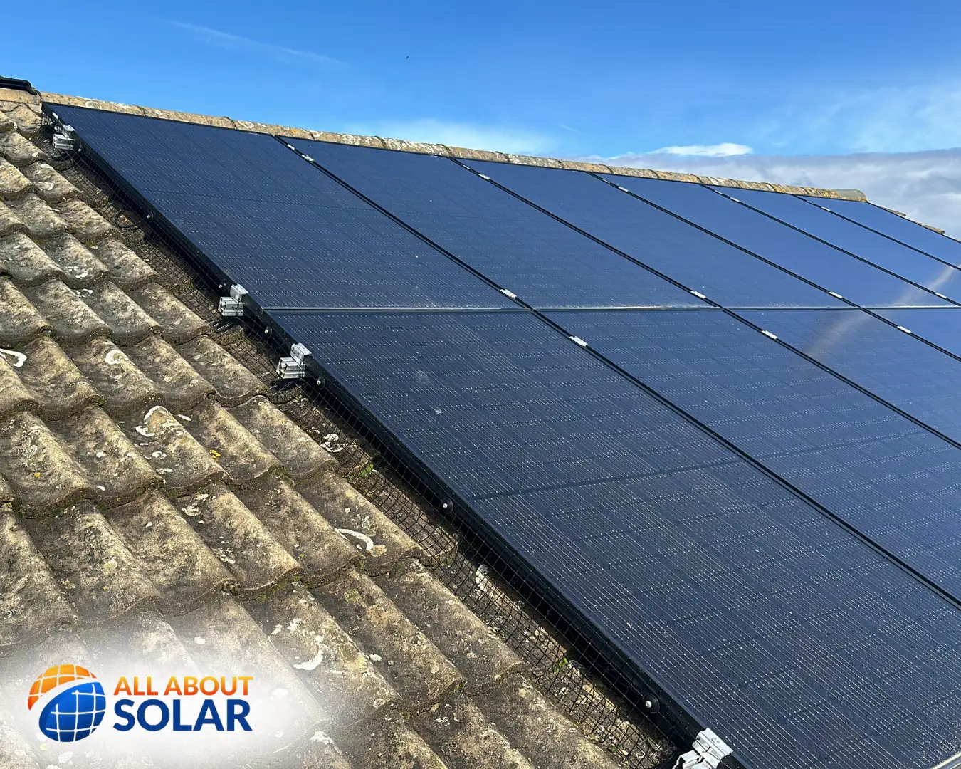 All About Solar Pigeon Proofing Wellingborough 4