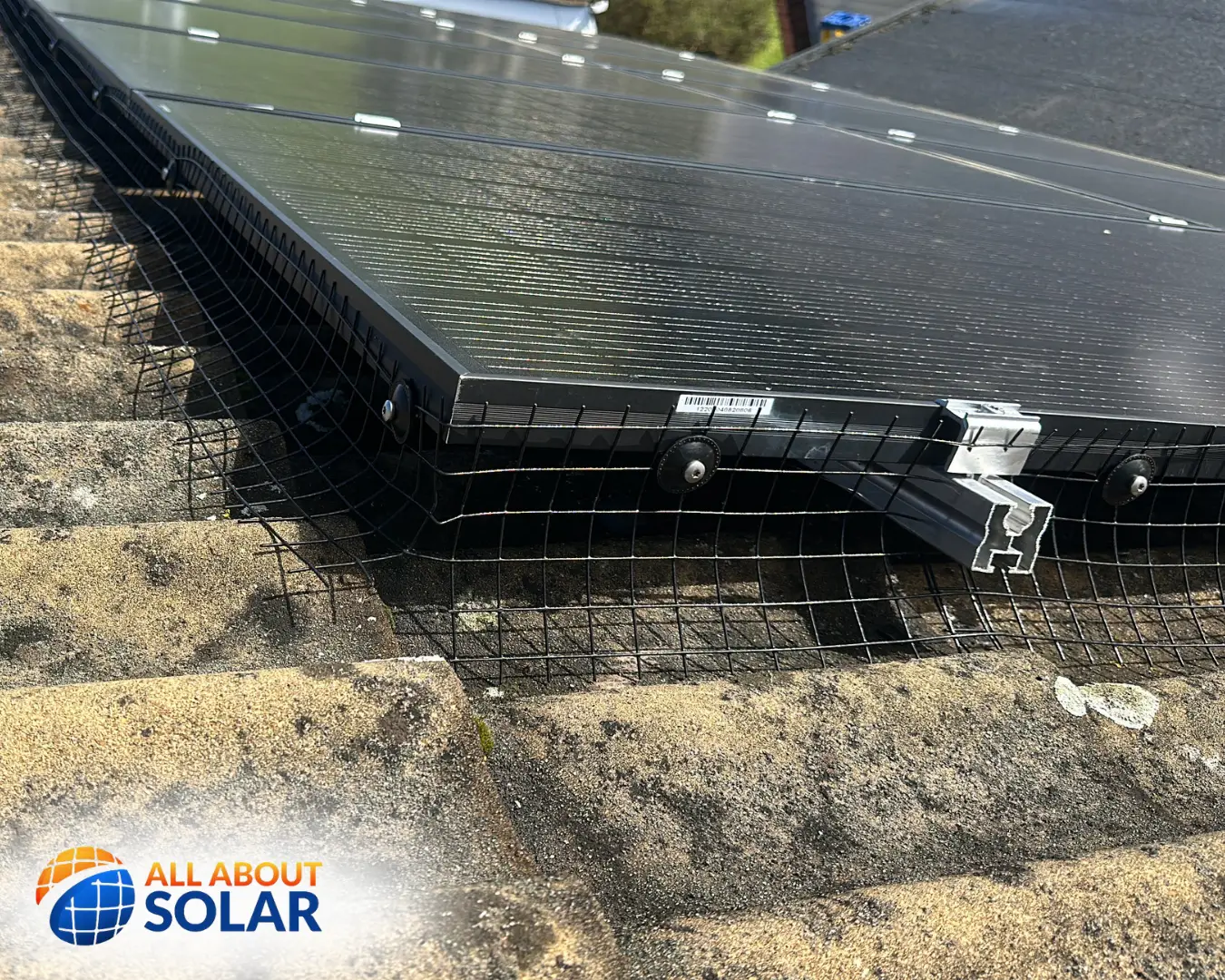 All About Solar Pigeon Proofing Wellingborough