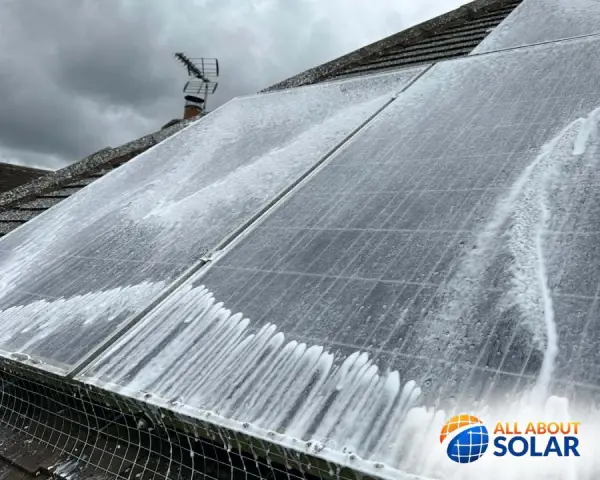 Pigeon Prevention Nottingham NG9 3FS